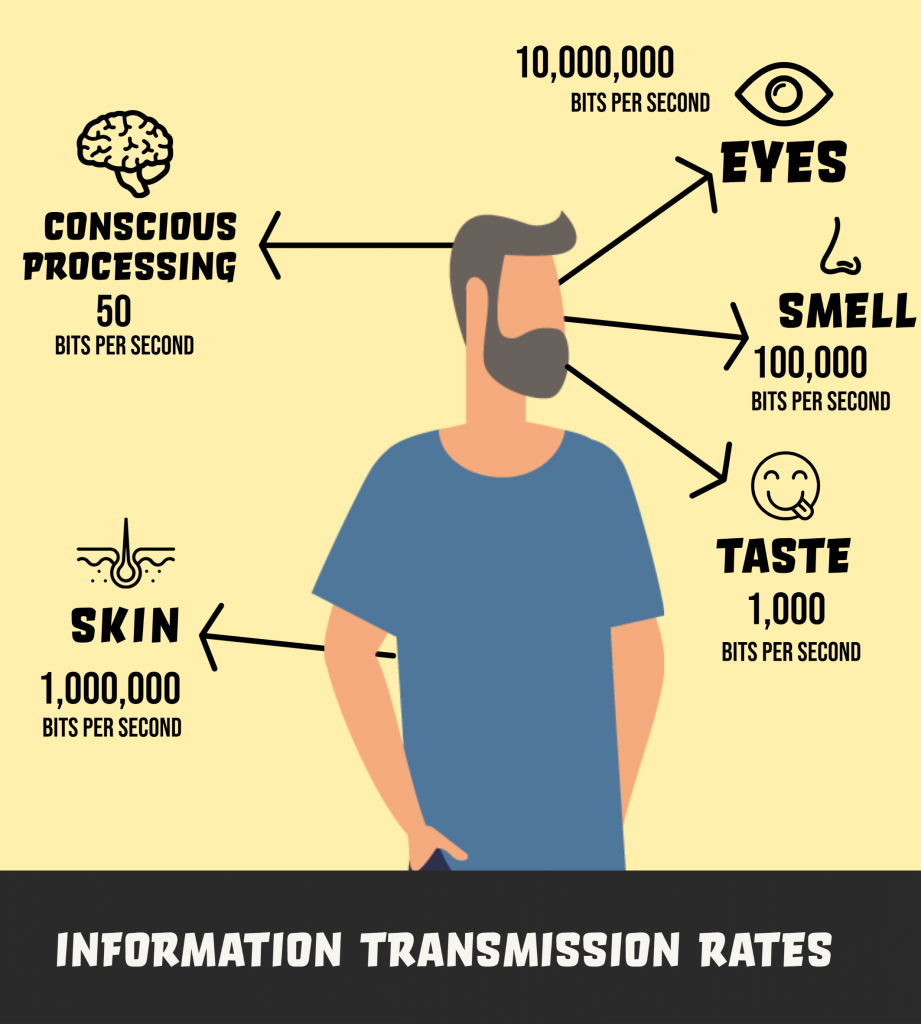 Shows how we receive vast amounts of information