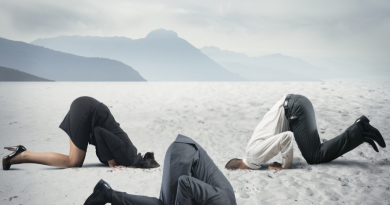 Programmes in crisis – avoid or recover